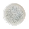 Порцеланова чиния ф28см BONNA-LUNAR OCEAN BLUE-(S-MT-LUNOC HYG 28DZ)