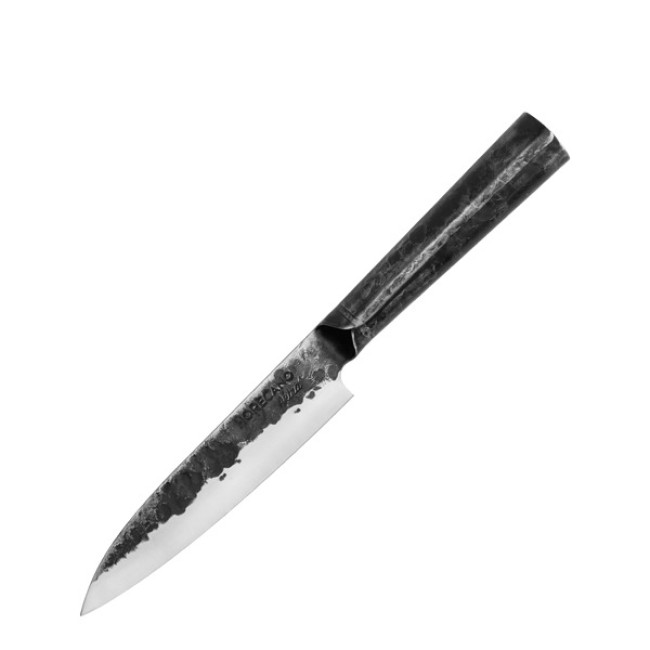 Нож Petty 15,5см AKIRA-(LEMJP04-6S) - Horecano
