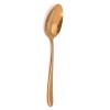 Лъжица основна 3мм GOLD PINK - (JCG 26313) - Horecano