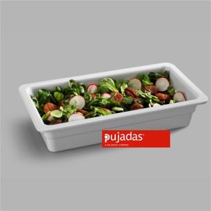 Меламинов гастронорм 1/3 65мм  325х175мм - Pujadas