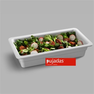 Меламинов гастронорм  1/3  - 100мм  325х175мм  - Pujadas