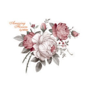 Емайлиран чайник 2,5л Rose Amazing Flowers Н-(I2710/2mroseAF) - Horecano