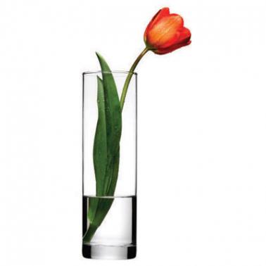 Стъклена ваза   26,5см BOTANICA - Pasabahce